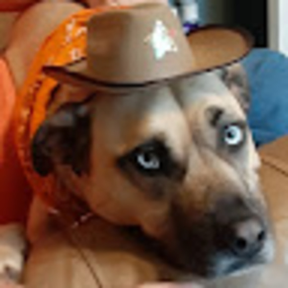 Meet your Posher, Kreeshuh - Picture 1 of 1